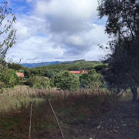 Alojamento Casa Do Cabeco Alombada Macinhata do Vouga ภายนอก รูปภาพ