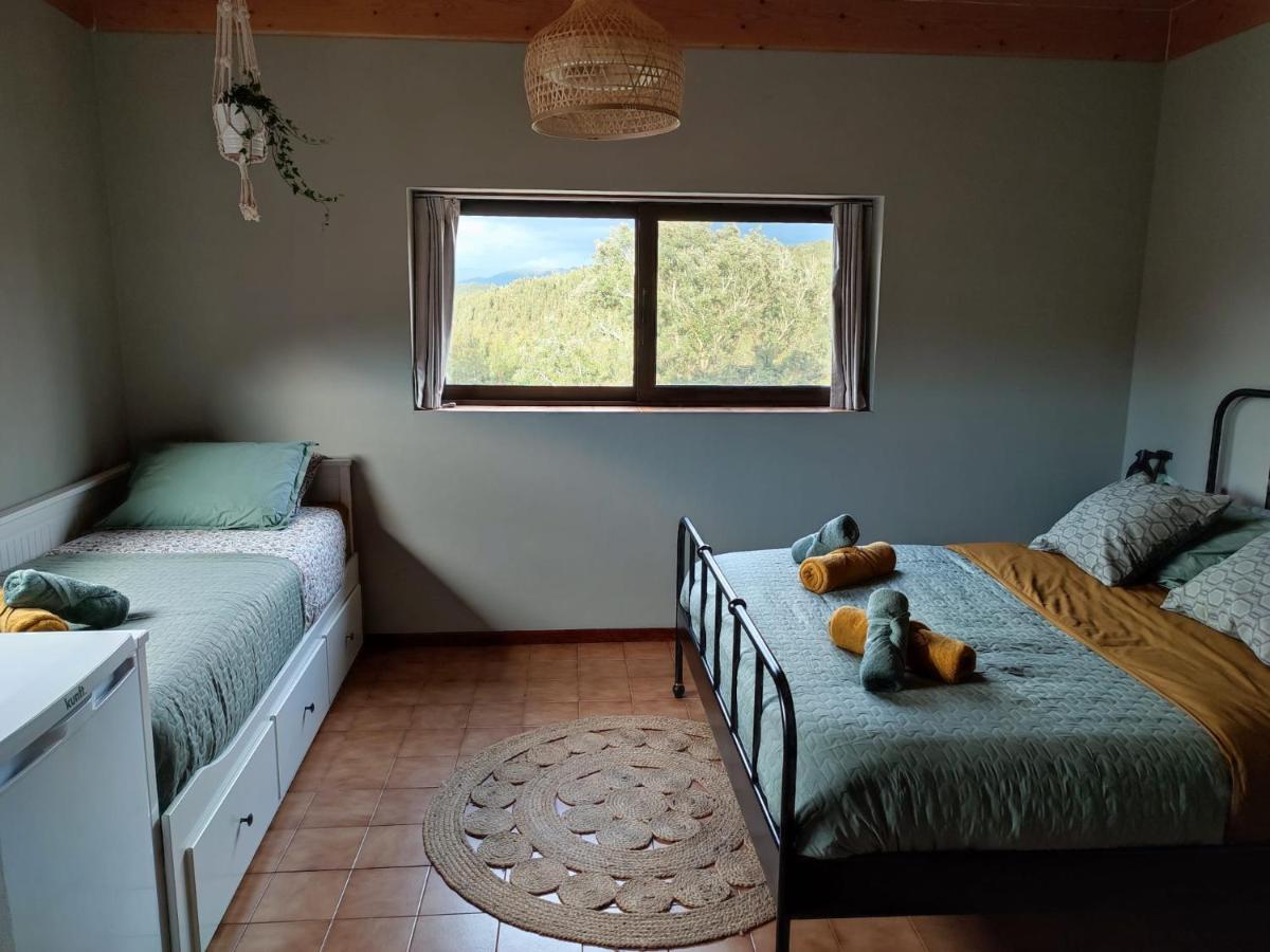 Alojamento Casa Do Cabeco Alombada Macinhata do Vouga ภายนอก รูปภาพ