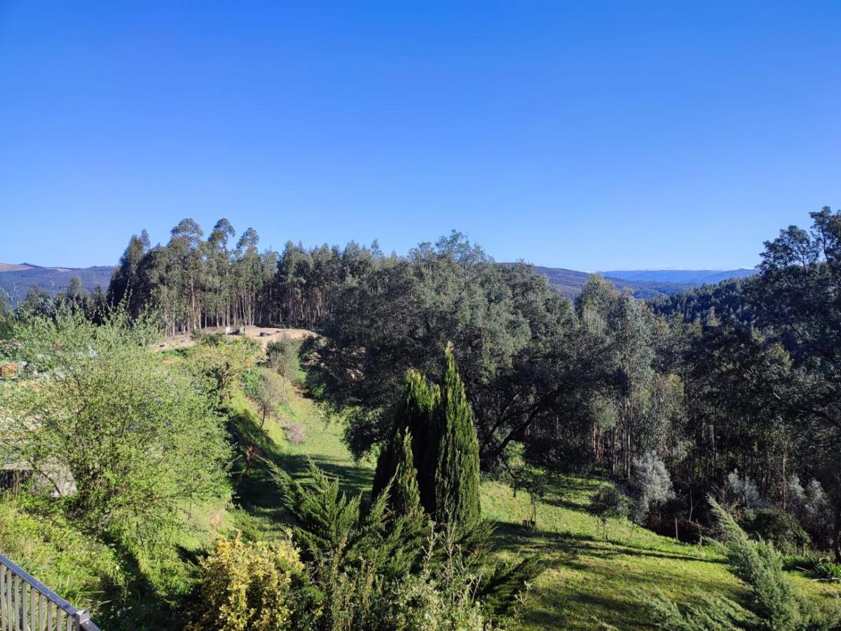 Alojamento Casa Do Cabeco Alombada Macinhata do Vouga ภายนอก รูปภาพ