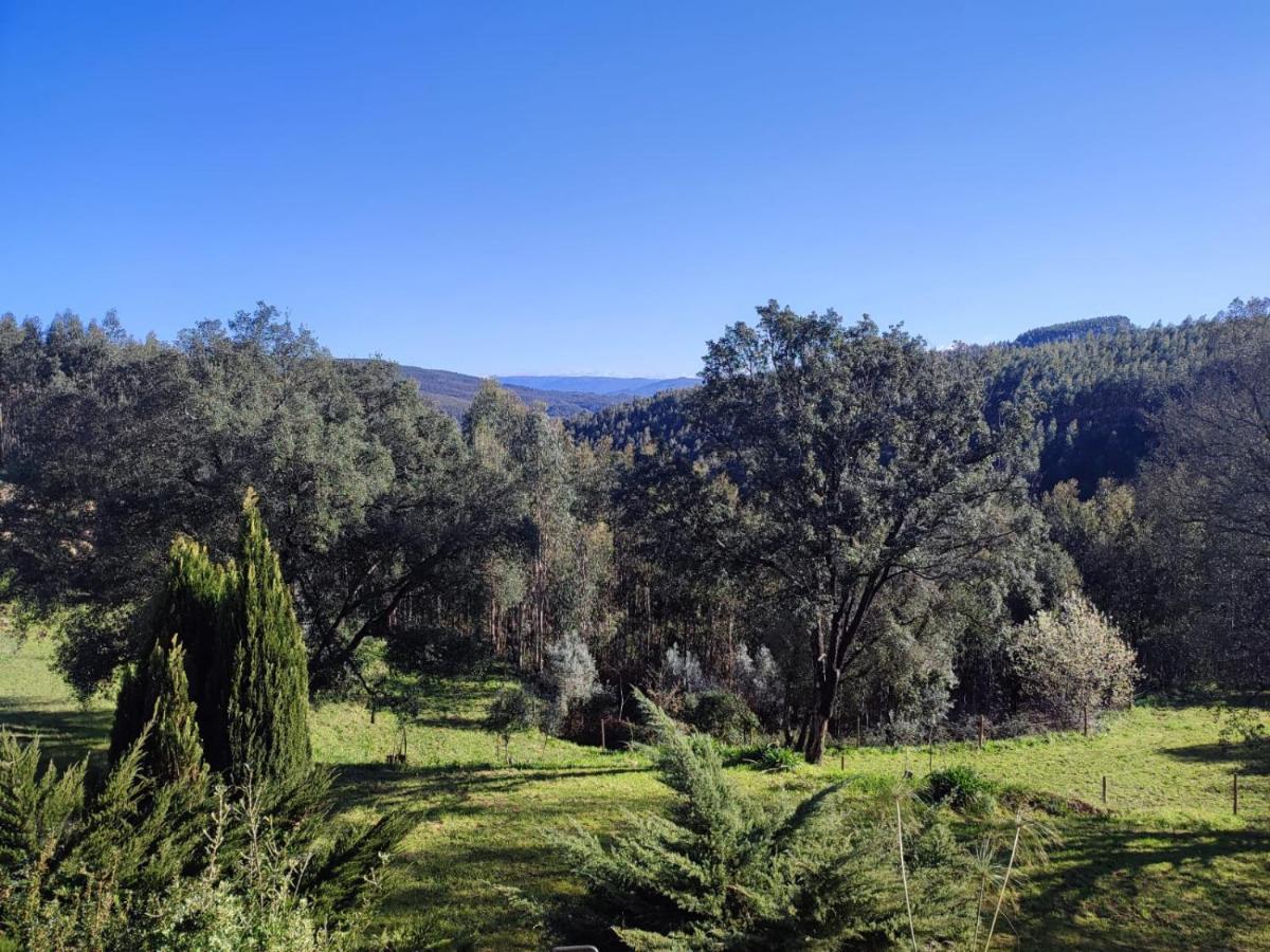Alojamento Casa Do Cabeco Alombada Macinhata do Vouga ภายนอก รูปภาพ