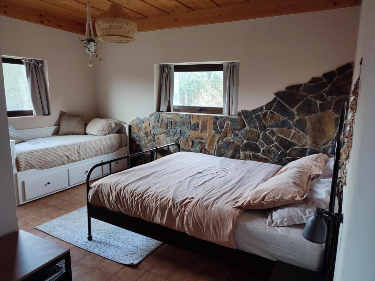 Alojamento Casa Do Cabeco Alombada Macinhata do Vouga ภายนอก รูปภาพ