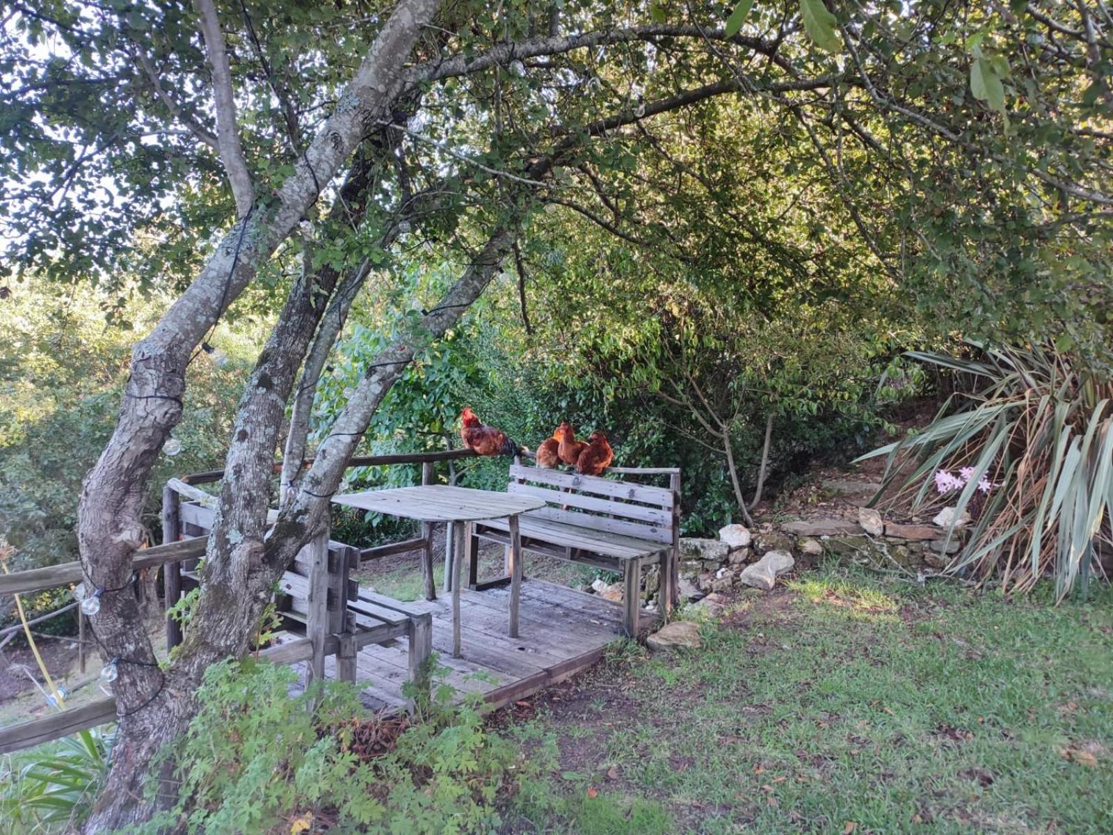 Alojamento Casa Do Cabeco Alombada Macinhata do Vouga ภายนอก รูปภาพ
